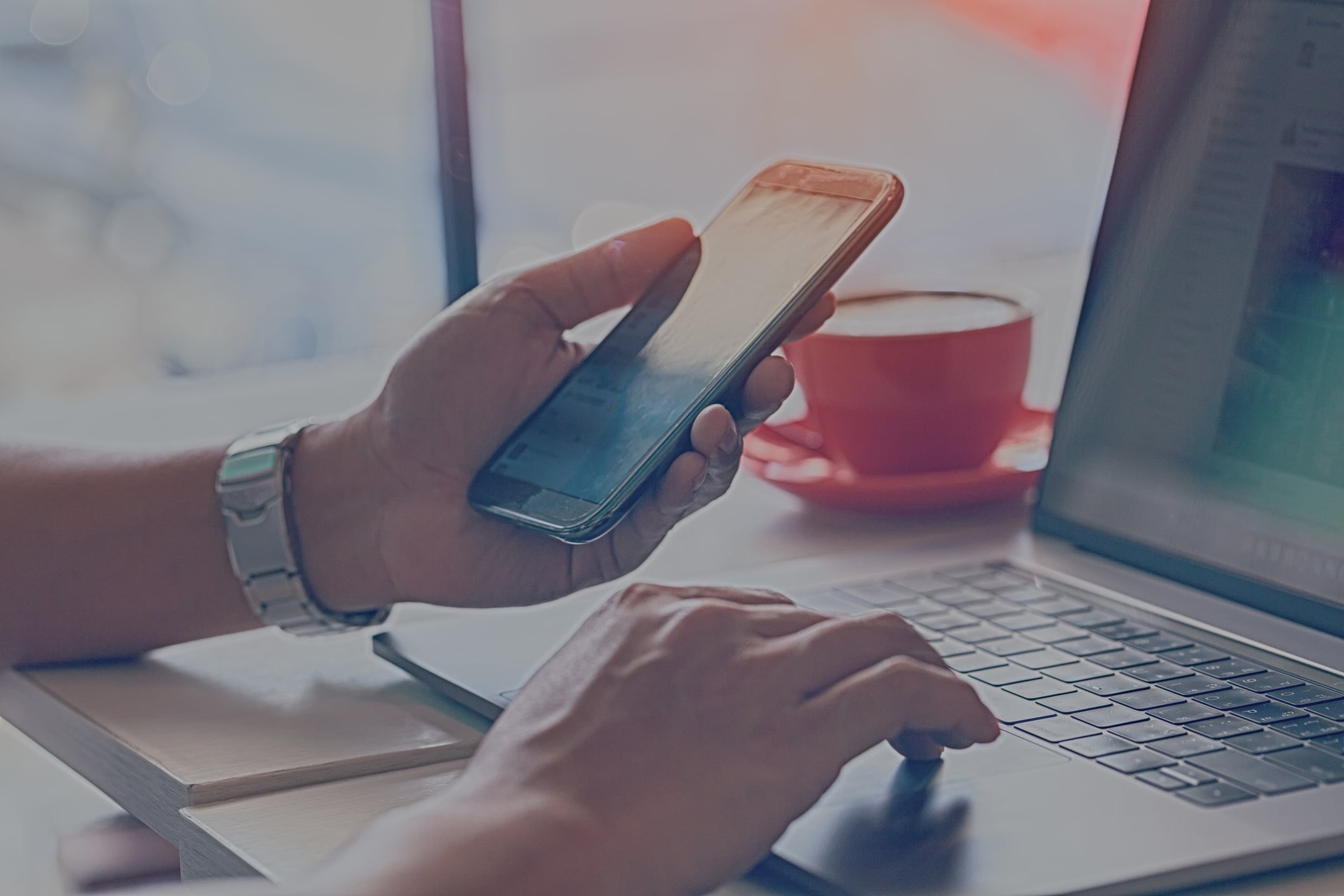 Website Accessibility