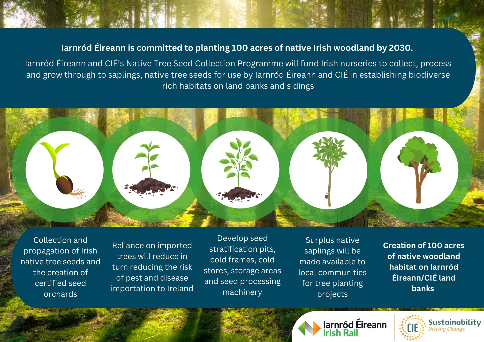 Native Seed Timeline